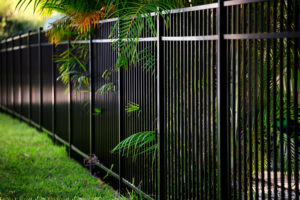 How to Build a Living Fence